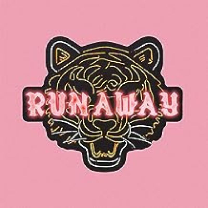 OneRepublic - Runaway