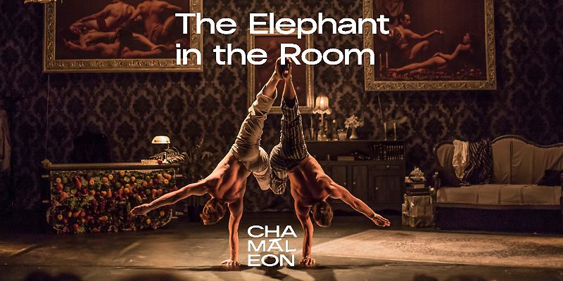 Bild:Elephant in The Room
