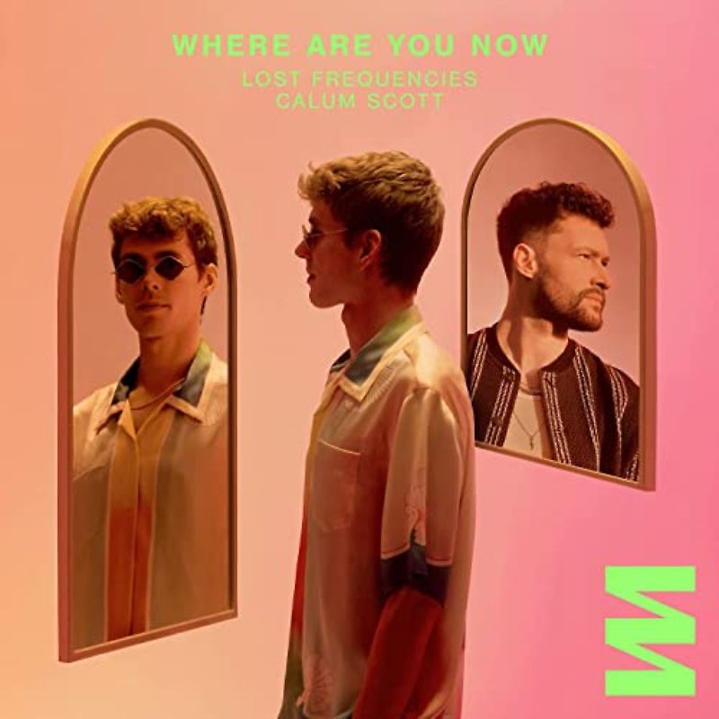 Lost Frequencies x Calum Scott - Where Are You Now
